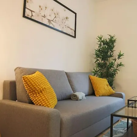 Le Cocon Fleuri, Proche Centre * ミュルーズ