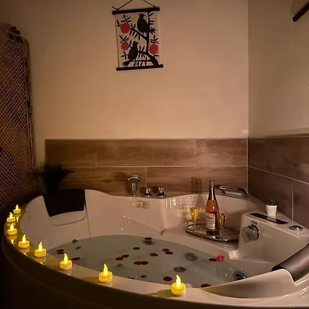 Le Cocon Fleuri, Proche Centre ミュルーズ