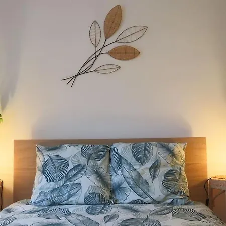 Le Cocon Fleuri, Proche Centre *