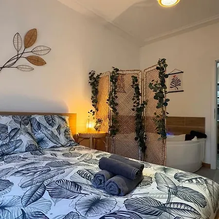 Appartement Le Cocon Fleuri, Proche Centre *