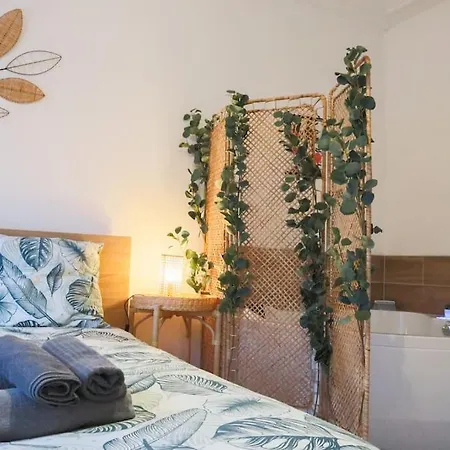 Appartement Le Cocon Fleuri, Proche Centre *