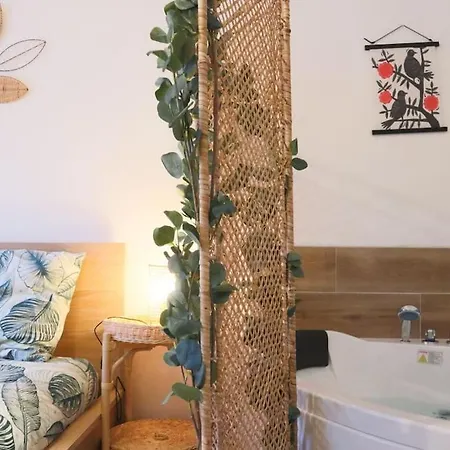 Le Cocon Fleuri, Proche Centre ミュルーズ