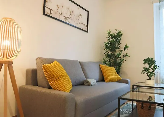 Le Cocon Fleuri, Proche Centre * 뮐루즈