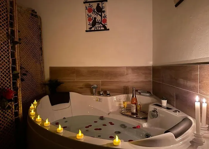 Le Cocon Fleuri, Proche Centre 뮐루즈