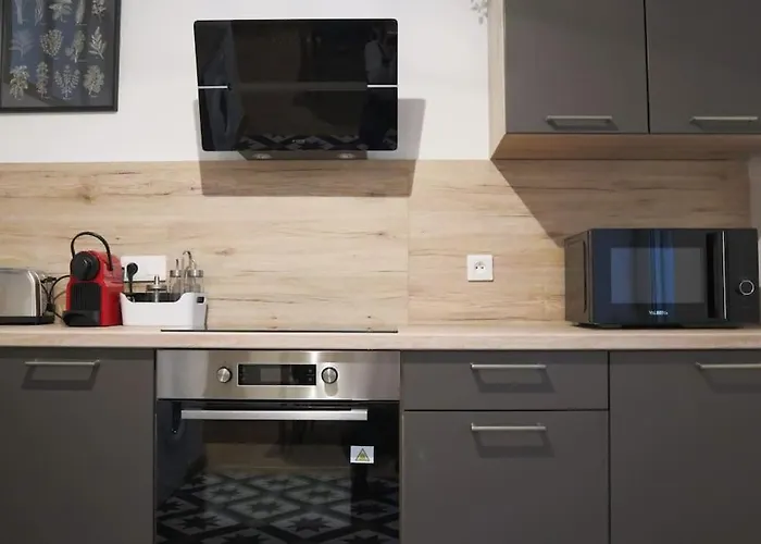 아파트 Le Cocon Fleuri, Proche Centre 뮐루즈