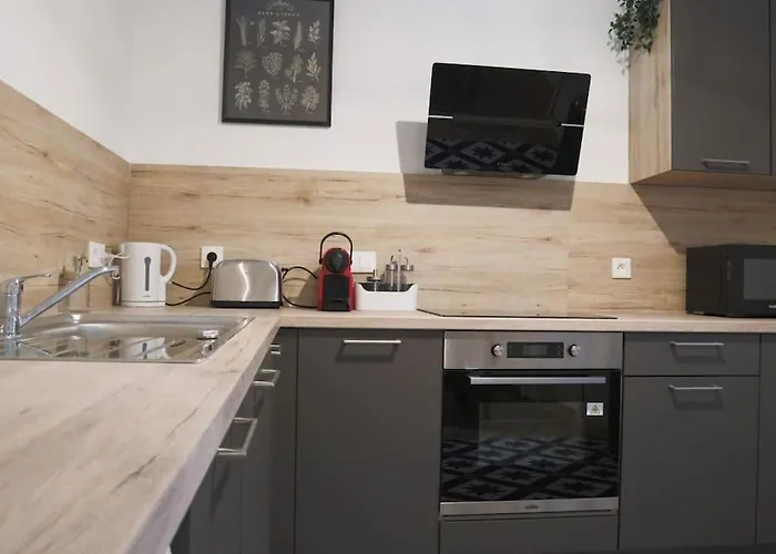 아파트 Le Cocon Fleuri, Proche Centre