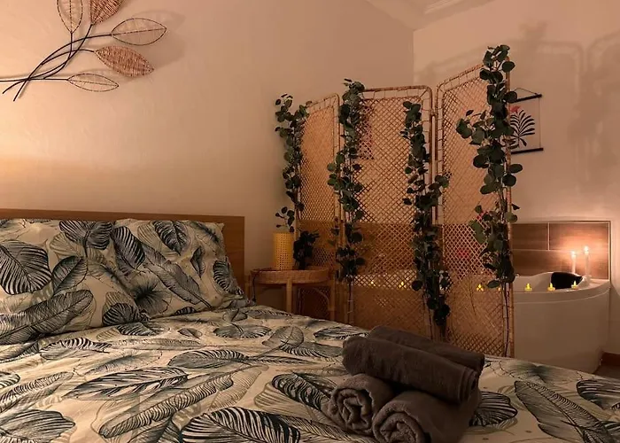 Le Cocon Fleuri, Proche Centre Apartment *